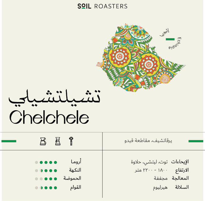 اثيوبيا تشيلي - Ethiopia Chelchele Beans