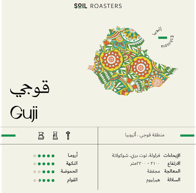 اثيوبيا قوجي - Ethiopia Guji